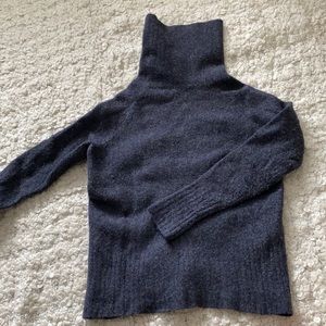 Aritzia Turtleneck Sweater